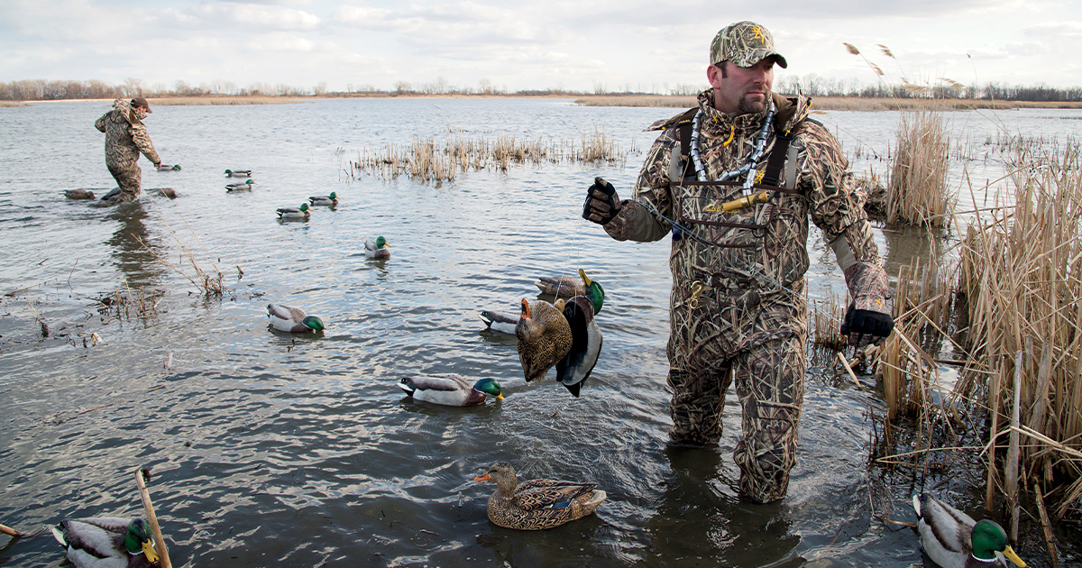 Waterfowl hunters setting out decoys. Photo by BillBuckleyPhotography.com